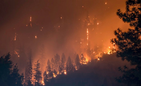 Сватівський район потрапив у зону високого рівня пожежної небезпеки. Що це означає