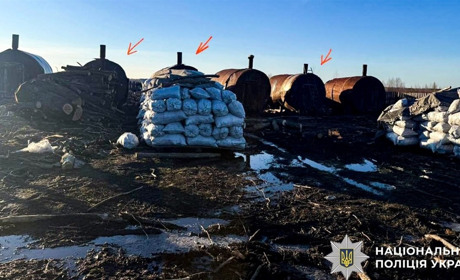 На Дубровиччині чоловік незаконно виготовляв деревне вугілля