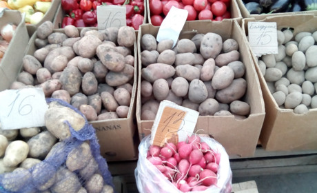 Чому картопля така дорога