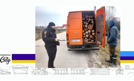 Пʼять кубів колод у «бусику» і хабар – що загрожує жителю Більської Волі?