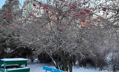 Погода в Старокостянтинові на 29 січня - 4 лютого: що принесе нам антициклон