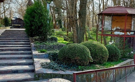 “Казкова діброва” тепер тільки в нашій пам’яті