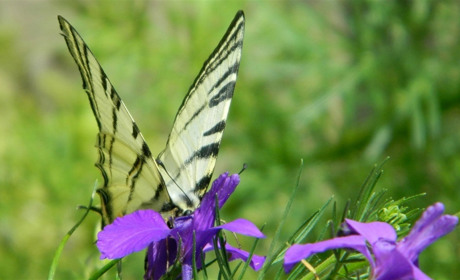 Нові суботні пазли-завдання від Мелітополь.Сіty