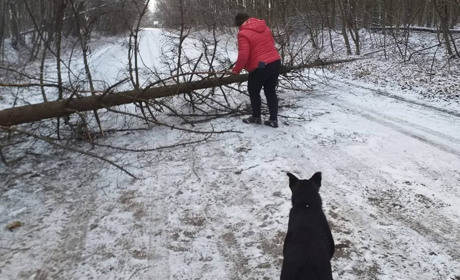 Через негоду на Городоччині частково знеструмлені села і ускладнився рух транспорту