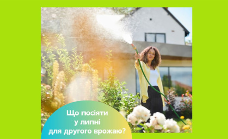 Посівний календар на липень 2025: коли можна ще раз посіяти овочі для другого врожаю