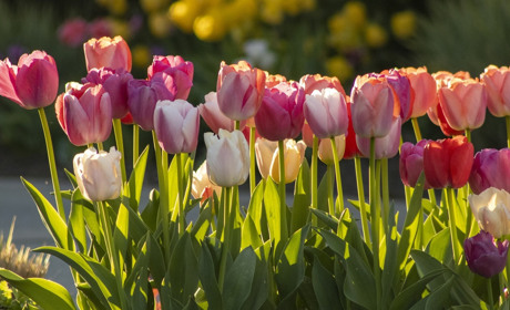 Якою буде погода на Сватівщині у перший тиждень травня: прогноз із 3 по 9 травня 2021