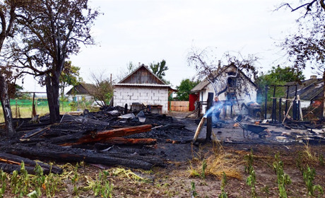 Пожежа у селі Городець: загинули домашні тварини і птиця