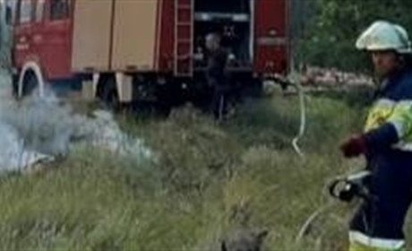 Коротке замикання й підпал сухостою — рятувальники ліквідували дві пожежі в Берестинському районі