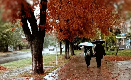 Погода у Гадячі на тиждень: дощі та стабільна температура