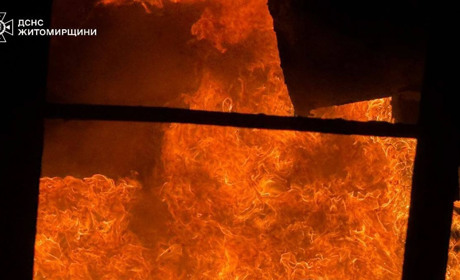 Двоє постраждалих внаслідок нічної атаки на Житомирщині