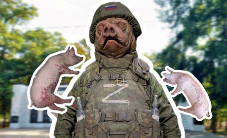 На окупованій території Волноваського району зафіксовано спалах свинячої чуми. Що відомо