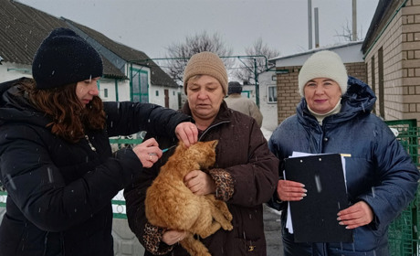 У Лозівському районі триває боротьба зі сказом тварин. Скільки щеплено за тиждень