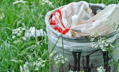 Коли у Сватовому у червні 2021 вивозитимуть сміття від приватного сектору: графік