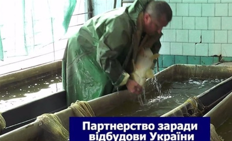 AQUABATOR: міжнародне партнерство та українська наука працюють на відновлення аквакультури