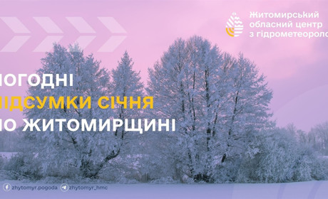 У Житомирській області суворий січень завершився з рекордними морозами та снігопадами