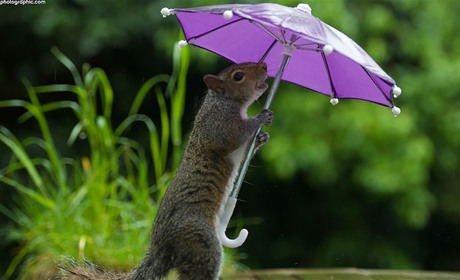 Яку погоду обіцяють українцям в останній день квітня та першого травня?