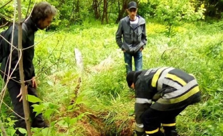 У Фастові рятувальники витягли з ями двох собак