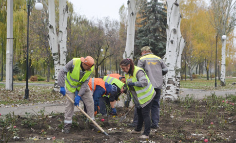 Троянд у Покровську стає все більше