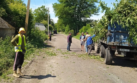 Літній доброустрій у громаді Переяславщини: комунальники обрізали дерева і косили траву
