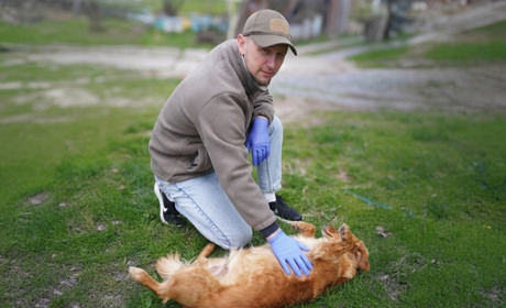 Ветеринар Павло Сумера з м.Бар: Чому важливо вакцинувати тварин і як розпізнати сказ