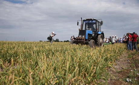 Перевірки на полях
