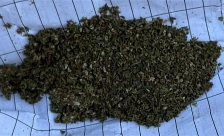 У мешканців Фастівщини виявили метадон, канабіс і шприц з наркотиками