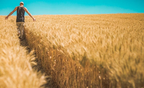 Як укласти договір купівлі-продажу земельної ділянки сільськогосподарського призначення: алгоритм