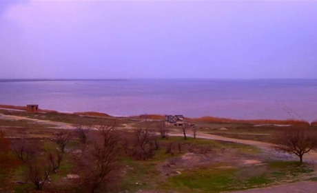 Рожева буря на озері (відео)