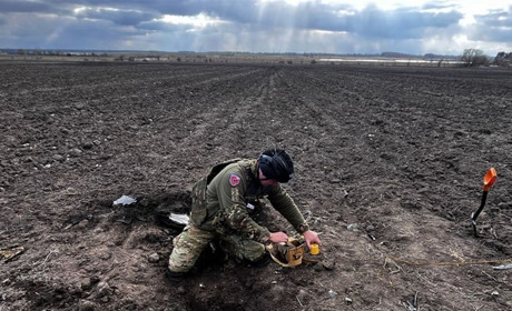На Житомирщині в полі виявили кілька бойових частин російських БпЛА та касетні елементи