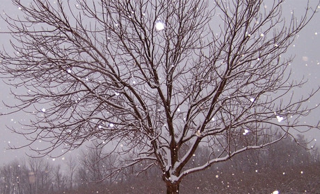 Погода у Старокостянтинові на 1-7 січня: яким буде перший тиждень Нового року