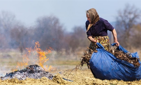Пожежна небезпека: спалювати сміття та рослинність заборонено. За порушення вимоги – штраф