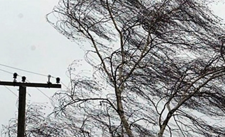 Негода лютує: на вечір п’ятниці 14 січня знеструмлено 159 населених пунктів Сумщини