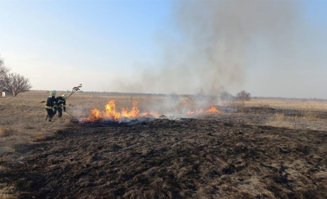 На Переяславщині за добу сталися одинадцять пожеж, горіла суха трава ФОТО