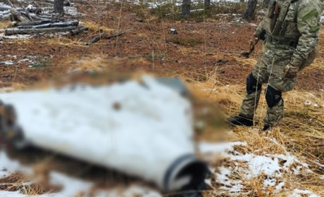 Поблизу населеного пункту на Житомирщині знайшли нерозірвану бойову частину російського дрона