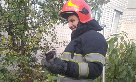 Старокостянтинівські рятувальники витягли кошеня з каналізаційного люка