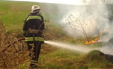Тліюче листя і палаючий степ. Чим загрожують пожежі у довкіллі