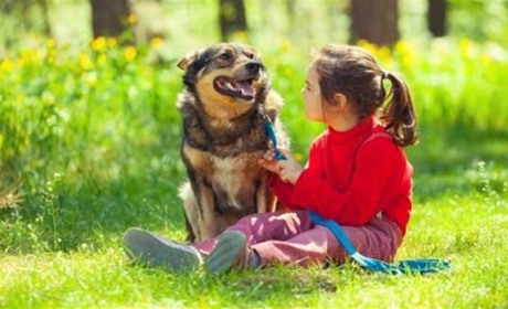 У четвер на Сумщині погода буде теплою і небезпечною: що говорять синоптики