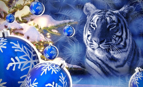 Зустрічаємо Блакитного Водяного Тигра: що вдягти, приготувати, подарувати?