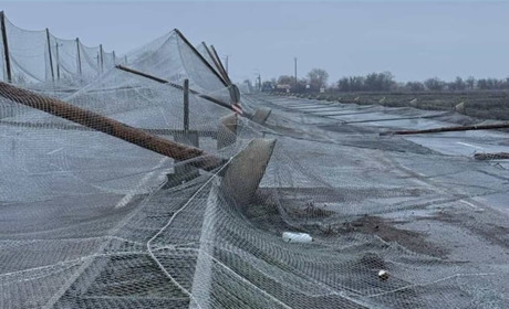 Антидронові сітки на Херсонщині впали після морозів: хто відповідальний за витрачені на них кошти