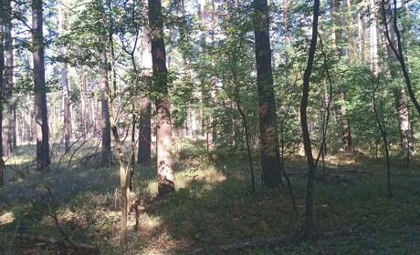 Щоденний дайджест від Золотоноша.City: зустрічаємо новий день – 16 вересня 2021 року