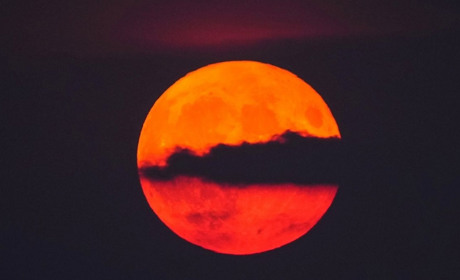 Бобровий супермісяць 5 листопада: найяскравіший супермісяць 2025 року