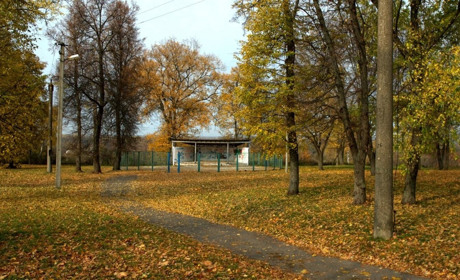 Найближчими днями буде вітряно. Яку погоду обіцяють синоптики?