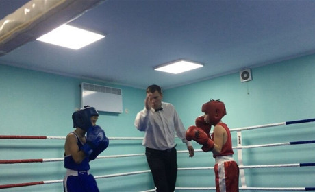 У Волновасі відбувся дитячий турнір з боксу: фото