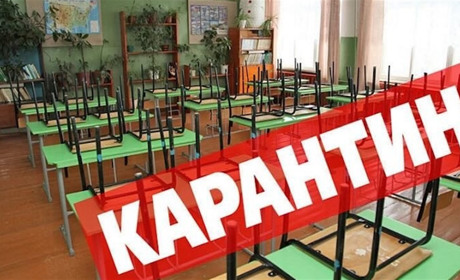 Грип атакує: Ізмаїльська школа № 10 оголосила карантин