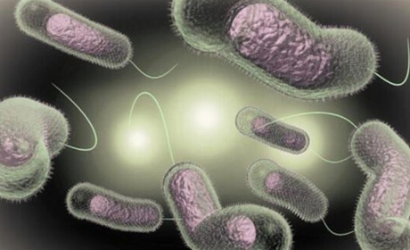 У Скадовську і Генічеську виявлені ознаки холери