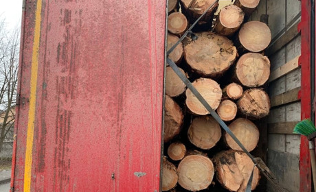 На блокпості в Сарненському районі зупинили вантажівку з незаконною деревиною