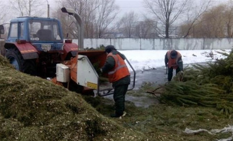 В Іванові хочуть утилізувати новорічні ялинки