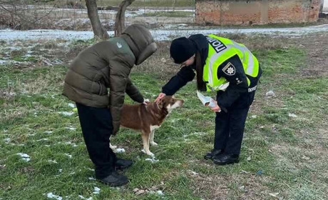В Ізмаїлі поліцейські залучили дітей до годування бездомних котів і собак