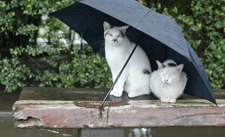 Как провести выходные в Мелитополе 21-22 июля