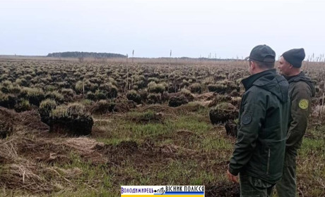 На території Нобельського парку виявили згарище на 17 га: збитки — понад 900 тис. грн